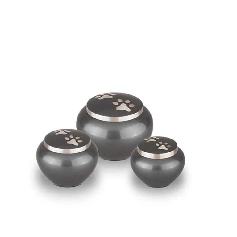 AU101-SET
