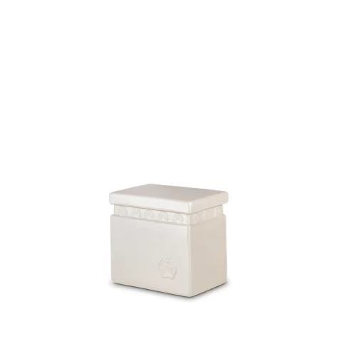 Eco-Friendly Biodegradable Pet Urn Box