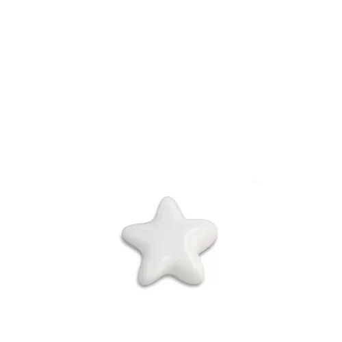 Unique Star Keepsake Urn - A Cherished Memorial for Ashes
